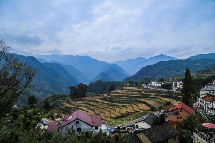 周未扫黄,走进临安指南村