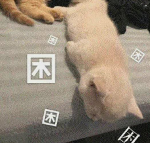 谁困死了#收表情包都把自己给收累了,谁懂,这些困困的表情包越看越困