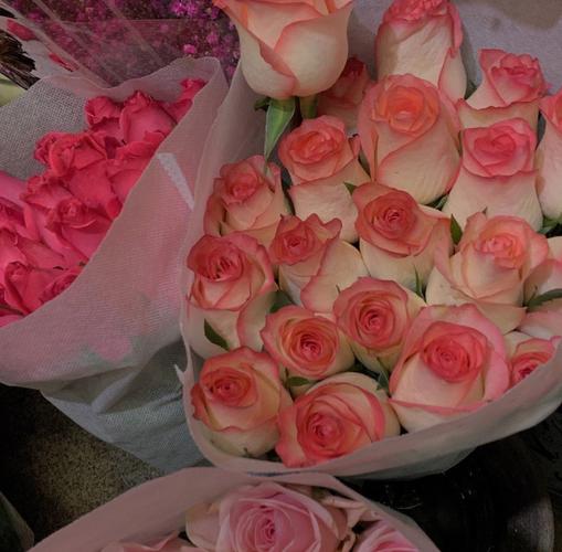 鲜花朋友圈背景图 小清新鲜花微信头像