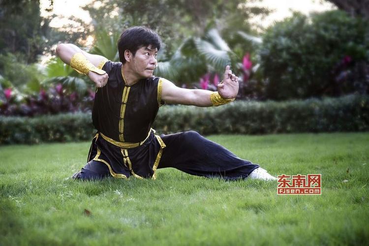 非物质文化遗产地术拳:传承,变革与守望
