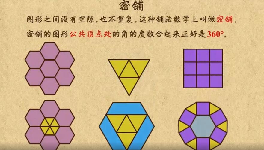 涑水"小瓦工"--主题项目学习,奇妙的图形密铺