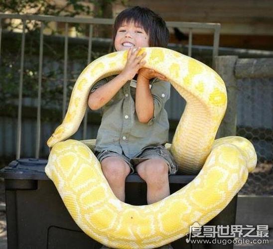 蚺和蟒的区别蚺多数是卵胎生而蟒蛇则多数是卵生