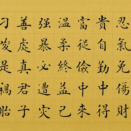 徐殿庭《百字铭》国家一级书法师