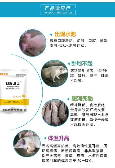 猪得了口蹄疫5号病怎么办?