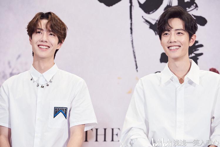 博君一肖,两个美好的男孩