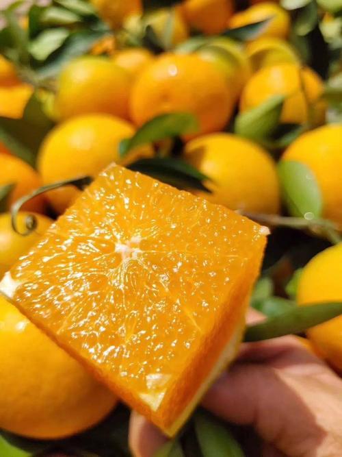 水果团秭归夏橙这个季节最新鲜的橙子皮薄多汁不打蜡不催熟