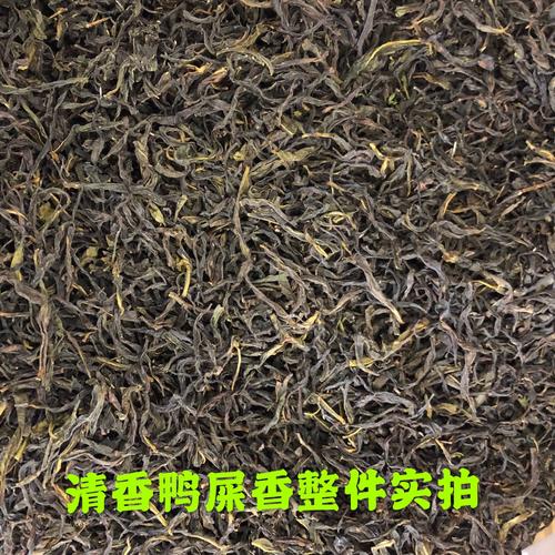 单丛大乌叶