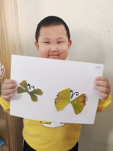 《树叶粘贴画》