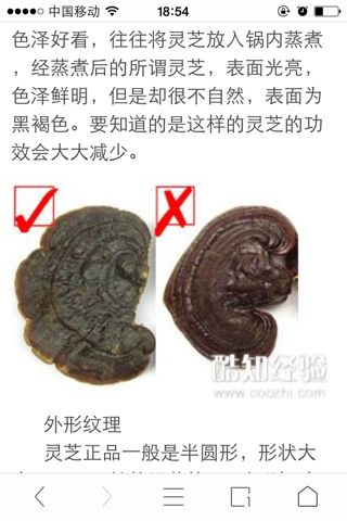 怎么辨别真假黑灵芝?怎么辨别黑芝和紫芝?