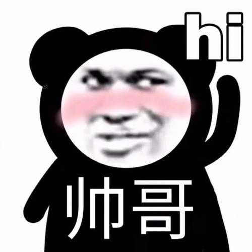 hi 帅哥 - 熊猫头 - 表情包热图