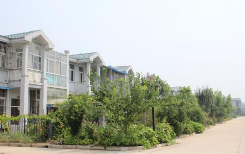  p>孙楼街道为江苏省丰县下辖街道,是 a href="#" data-lemmaid="