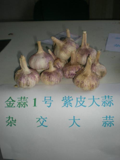 农作物种子,种苗产品列表 - 007商务站-全球网上贸易