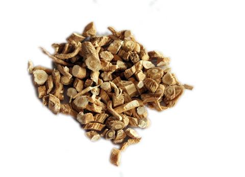 原生态种植中药材板蓝根批发 纯天然干板蓝根 纯中药材 大批直销1