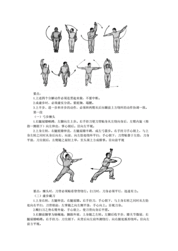 初级刀术教案.doc