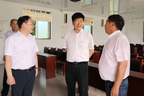 东台市召开组织工作推进会