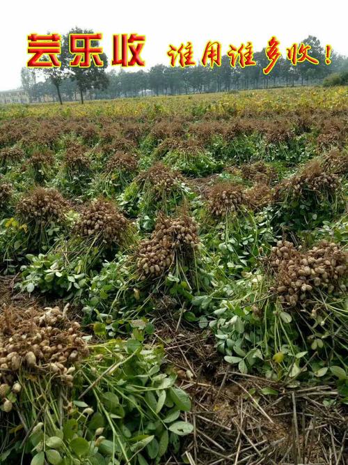 热烈祝贺2018年田庄芸乐收增产交流会胜利召开!