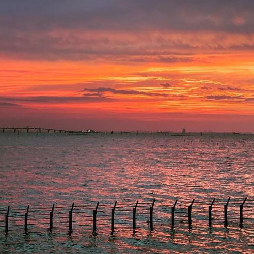 夕阳下的人间浪漫