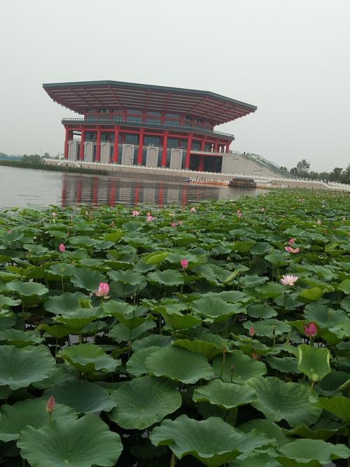 郓城新地标-南湖公园.2020.8.