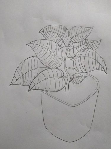 《植物写生》 写美篇   老师以往给植物画的像:         可用线描形式