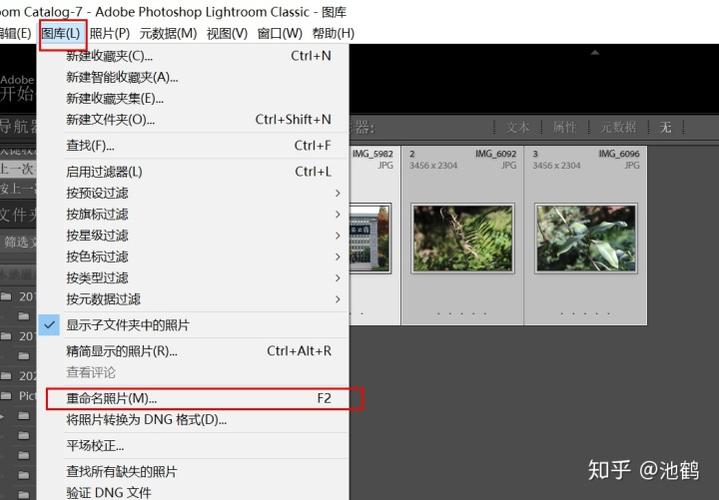 lightroom导入照片时,如何给照片加版权信息?