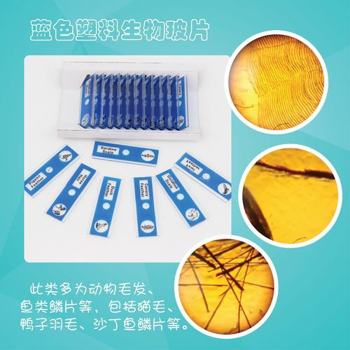 塑料生物实验专用直销标本显微镜蓝绿