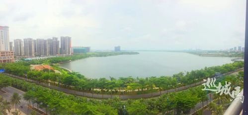 美丽壮观的滨湖公园(图片均由市民刘小姐等市民拍摄)