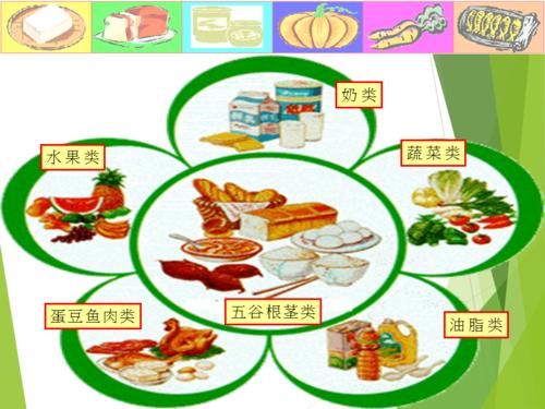 食物中的营养