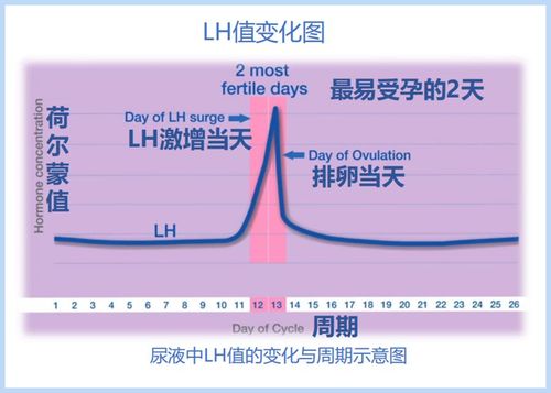 这款电子排卵期测试笔就是通过测定尿液中的lh是否激增来确定最准确