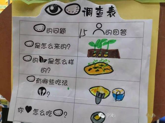 请家长和幼儿共同完成,通过记录表,幼儿对土豆的生长环境和使用方法有