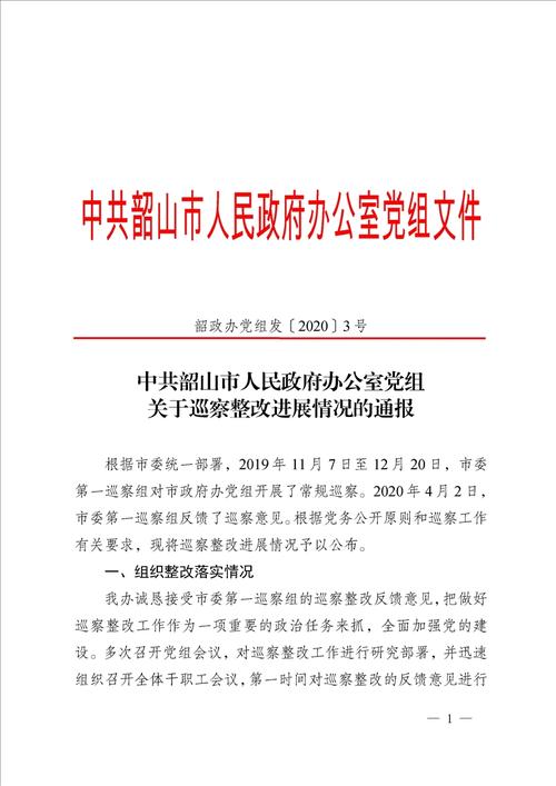 中共韶山市人民政府办公室党组关于巡察整改进展情况的通报
