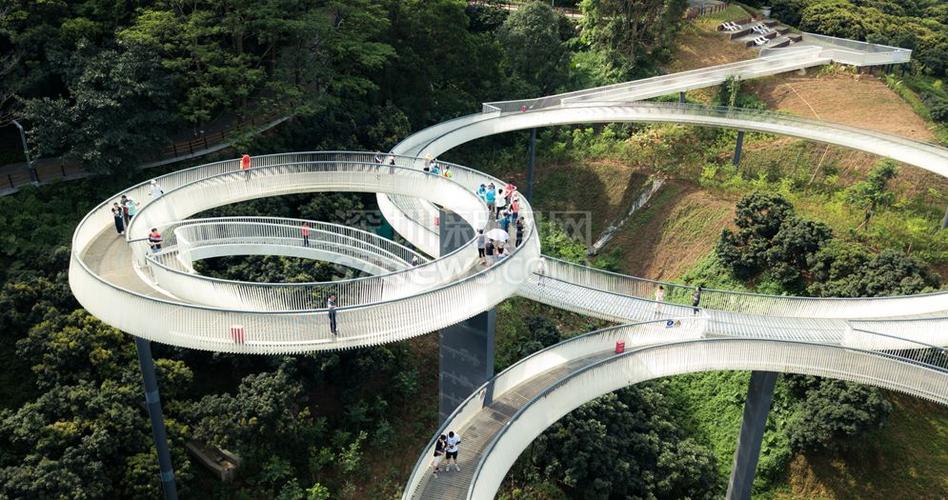 光明小镇绿道三桥揭开神秘面纱 15组体验官大自然中打卡_深圳新闻网