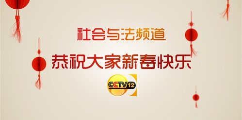 cctv12社会与法新春篇