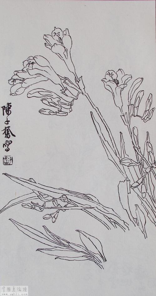【转载】陈子奋白描全集
