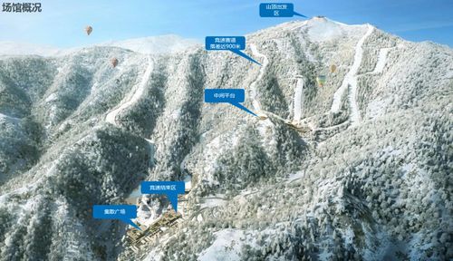 2020国际高山滑雪世界杯比赛在哪?延庆地址指南