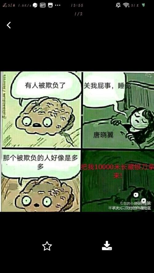 查理九世之墨羽