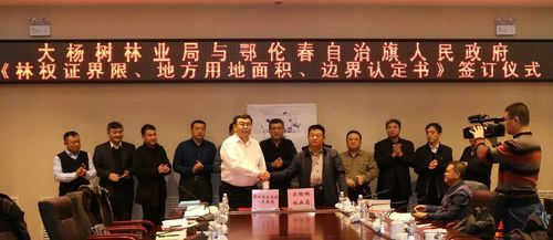 旗政府与大杨树林业局签订《明确林权证界限,地方用