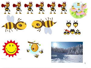 蜜蜂做工ppt课件