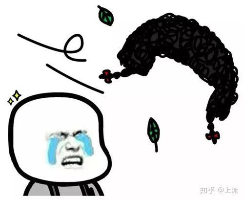 程序员如何有效避免脱发
