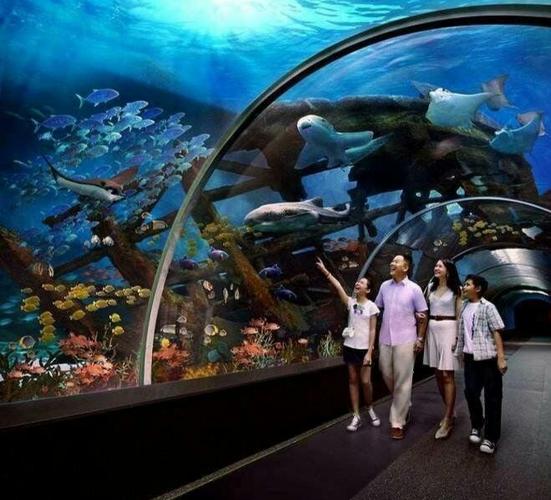 海洋馆也很漂亮