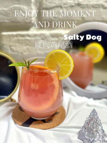 三分钟宅家微醺|自制夏日冰爽咸狗鸡尾酒99_夏天去哪玩_西柚_鸡尾酒