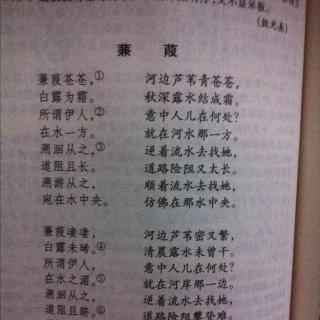 诗经 秦风 蒹葭(朗诵 解释)