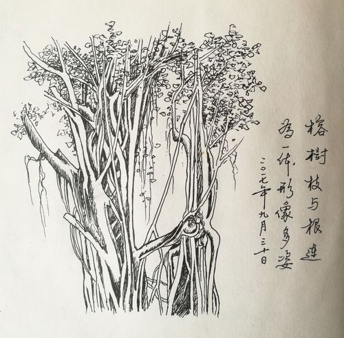 《连根榕树》