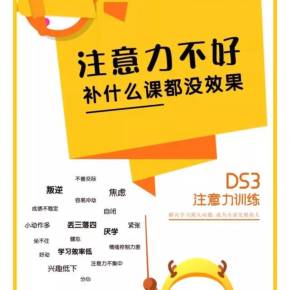 天源心理-ds3注意力训练课程