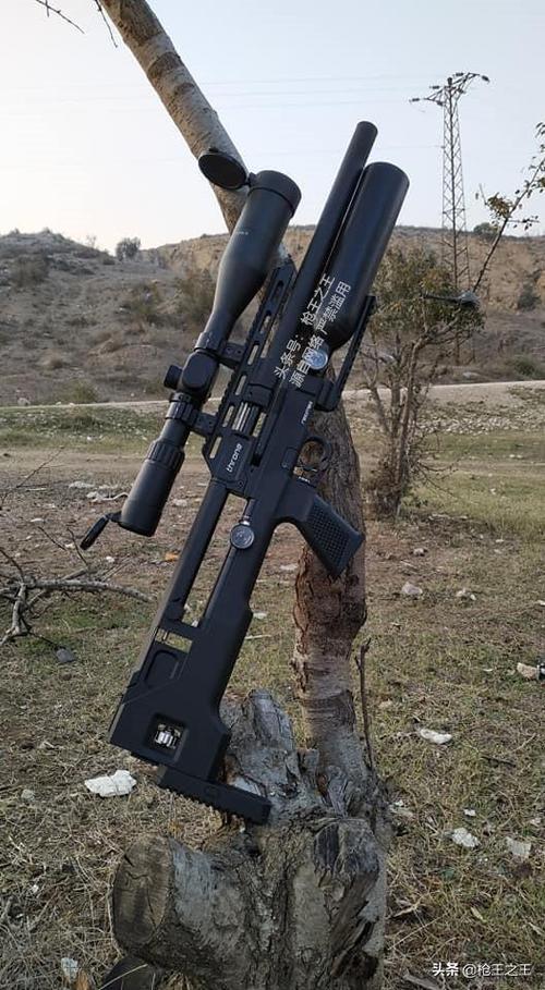 军迷户外狩猎射击魅力pcp十一reximex王座半自动气步枪