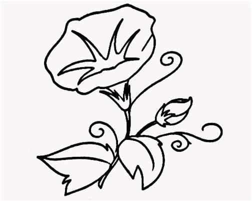 牵牛花怎么画喇叭花的画法简笔画图片素描wwwqqscbcom