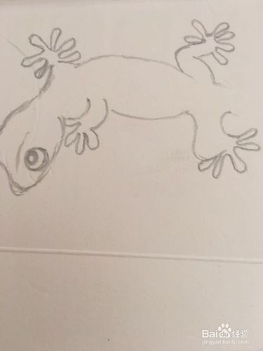 小壁虎的简笔画怎么画