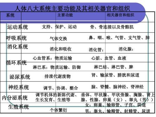 人体的八大系统的手抄报十八大手抄报