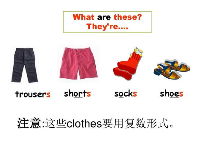 trousers shorts socks shoes 注意:这些clothes要用复数形式.