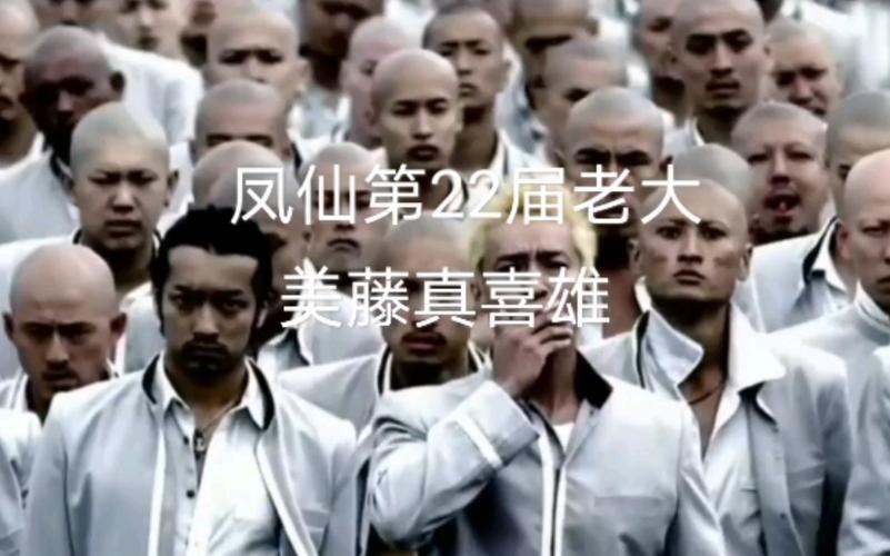 厉任凤仙高校老大长什么样子