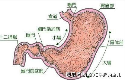 原创不痛不痒,不代表胃部健康!胃部若有这些异常情况,需提高警惕